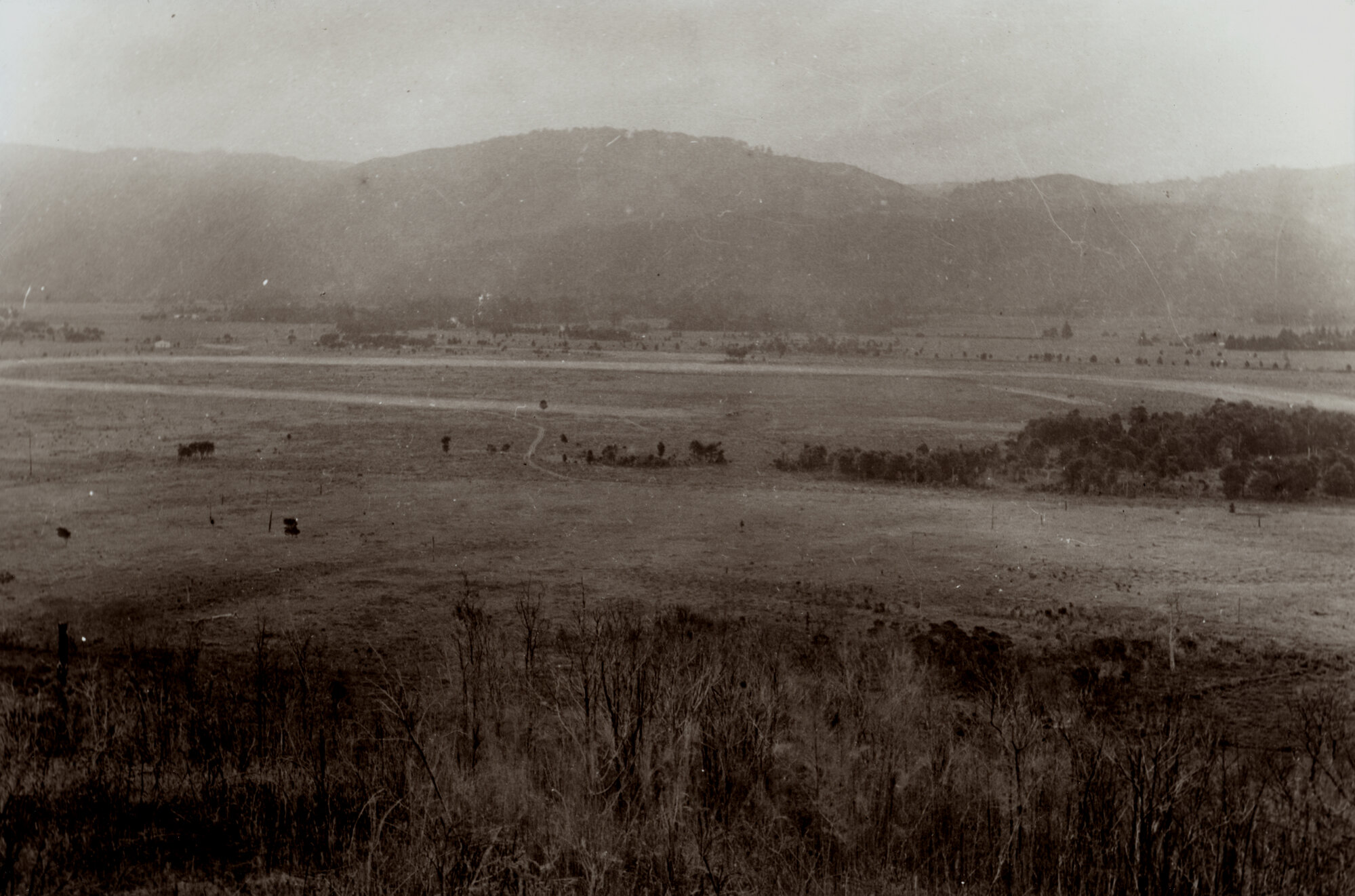 Trentham Racecourse site; looking north-west | Upper Hutt Libraries